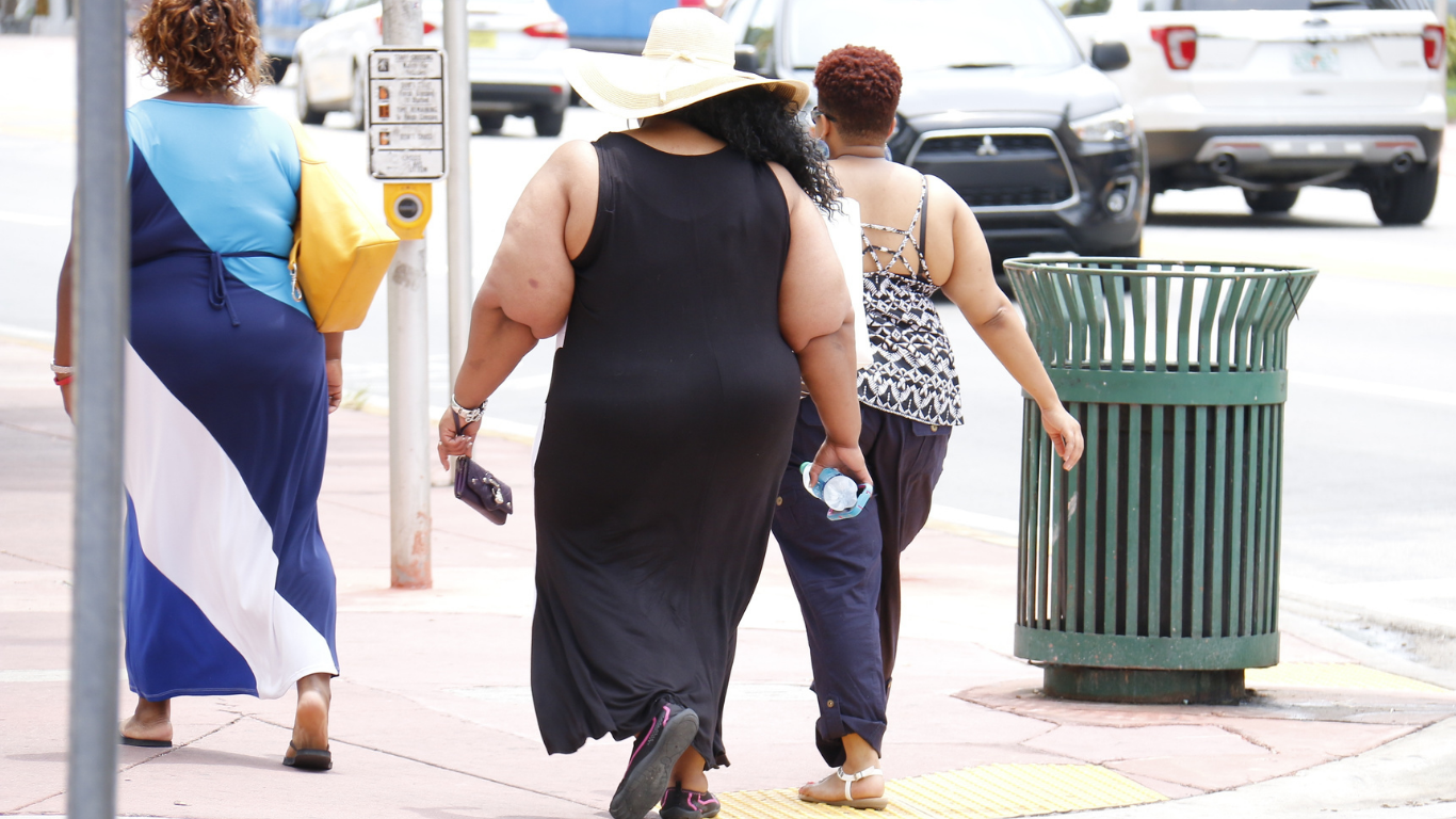 Programa de emagrecimento